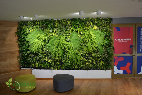 Стена из живых растений